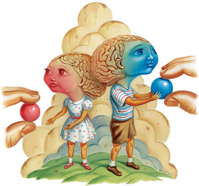 A pink "girl" brain in a dress is given a pink ball while the blue "boy" brain in shorts is given a blue ball.