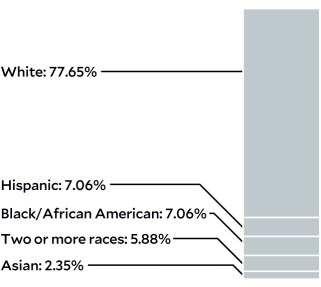 A chart showing the racial makeup of Mother Jones staff