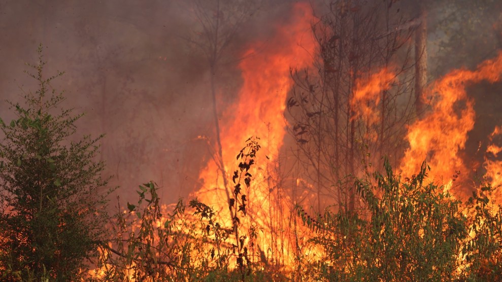 Fire moving through forest in Louisiana
