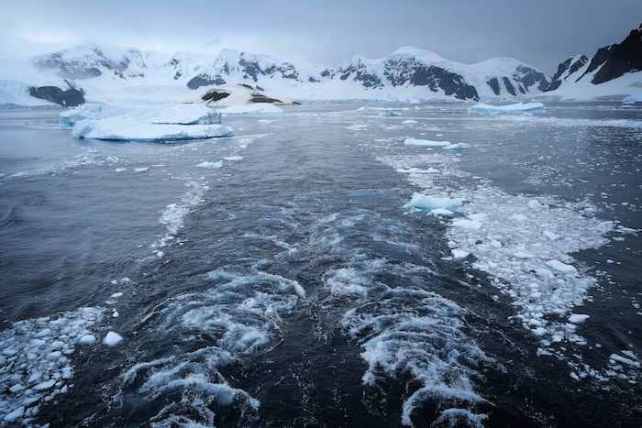 Ice melting in the Antarctic peninsula 