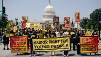 A group of protestors stand with signs along a street with the capitol building behind them.