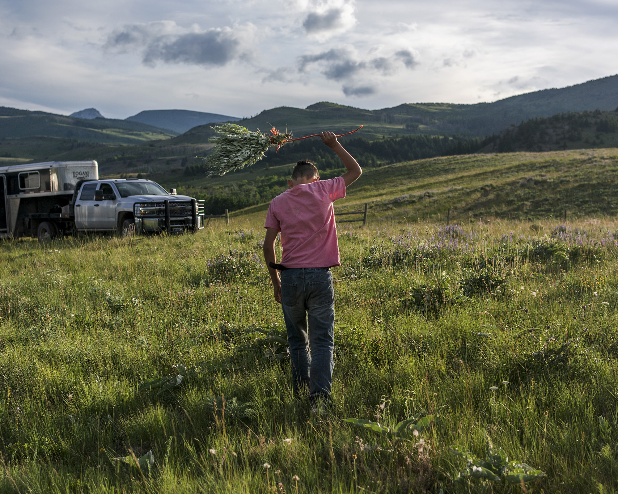 Man with his back to the camera holds a plant over his head as he walks through grassland.