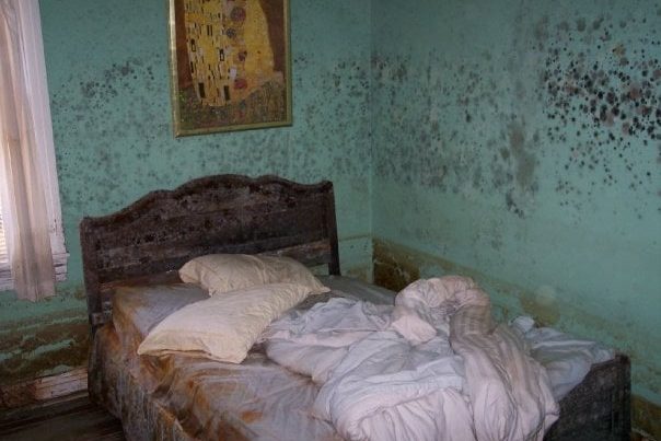 A bedroom with teal walls covered in grime, bedding strewn across the bed