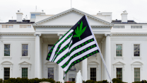 A flag with green marijuana leaves is held in front of the White House