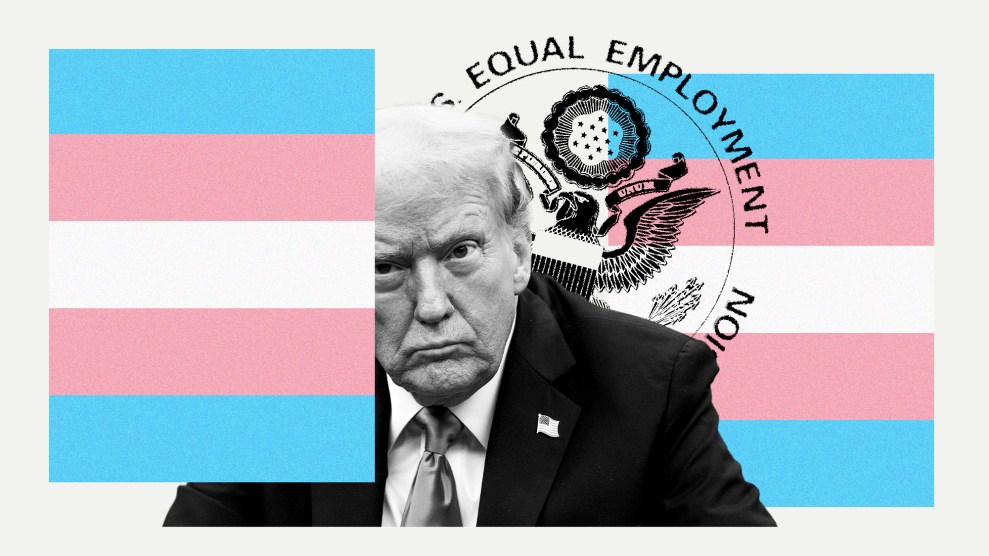 A collage that centers a stern-looking Donald Trump between a Transgender pride flag that's split in two. Behind Trump and overlaying a portion of the flag on the right is the seal of the Equal Employment Opportunity Commission.