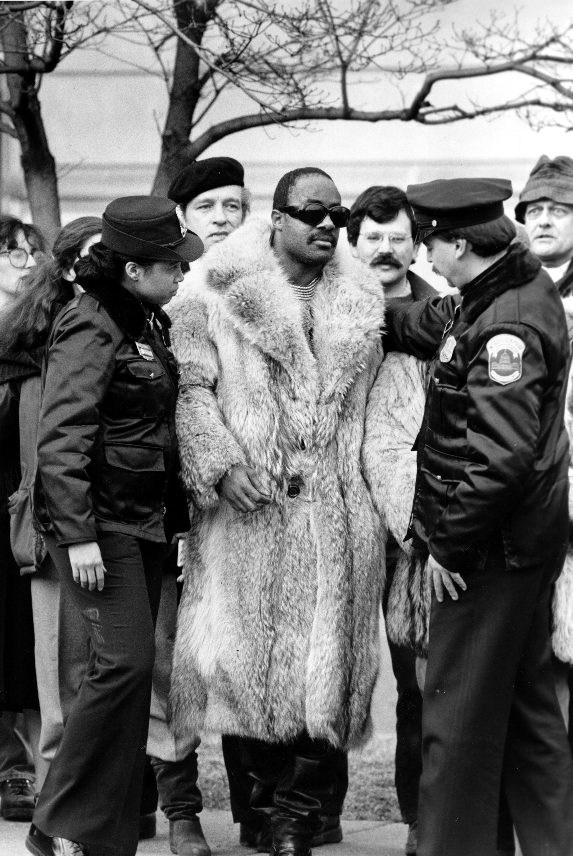 Stevie Wonder wearing a fur coat getting arrested.