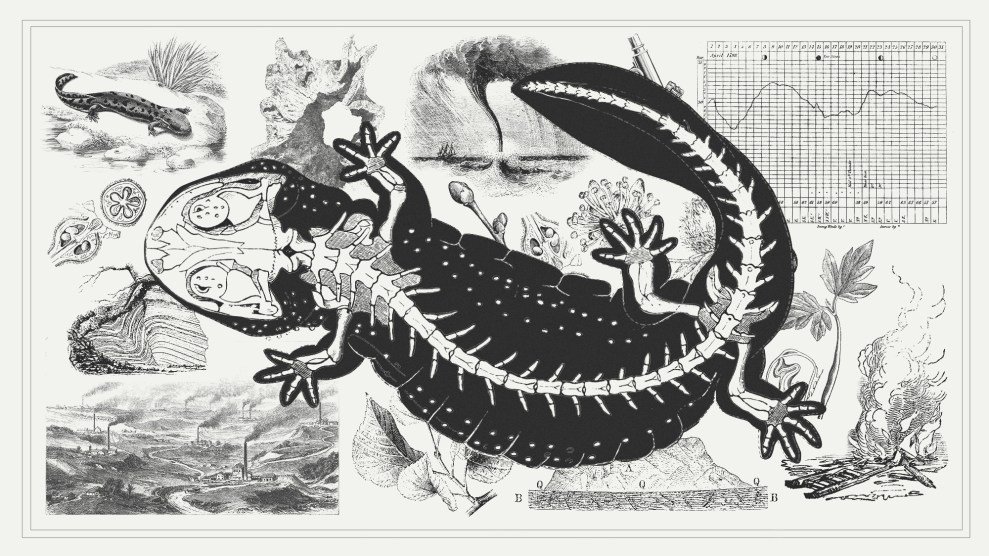 Photo collage featuring scientific etchings of weather patterns, fire, various plants, geographical formations, and natural disasters, overlaid with a large anatomical illustration of a salamander that shows its skeleton.