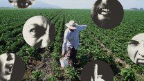 Photo collage of an anonymous migrant worker in a field; overlaid on the scene are various circles that hold angry faces, screaming mouths, and the middle finger.