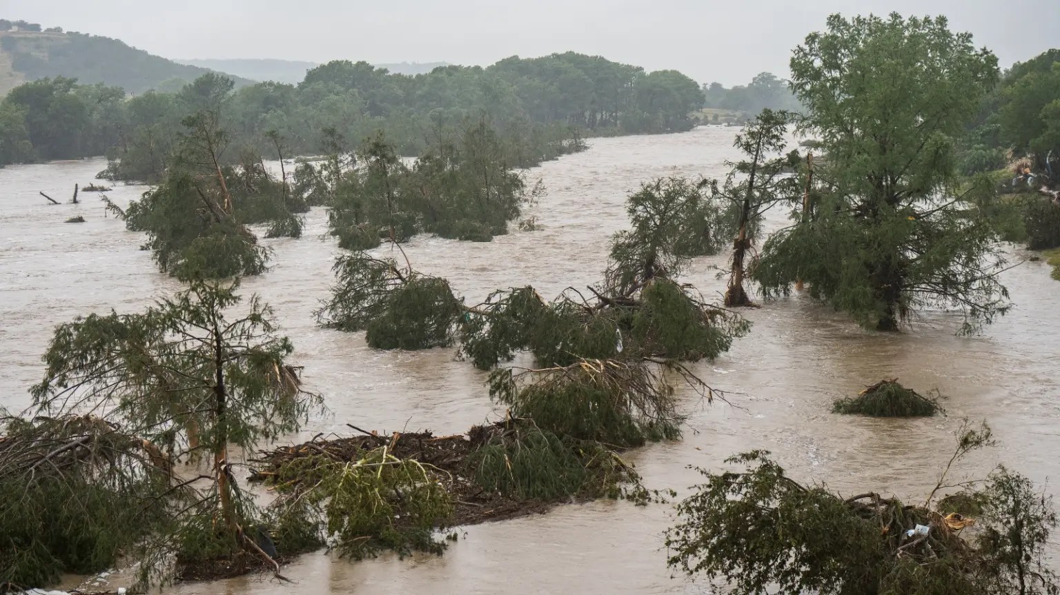 Brown stormwater flood trees in a murky river.