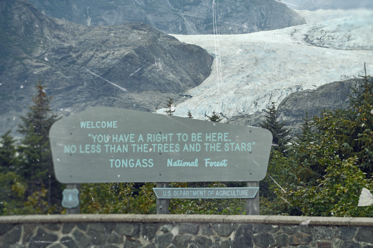A sign in front of a river that says ""YOU HAVE A RIGHT TO BE HERE, NO LESS THAN THE TREES AND THE STARS."