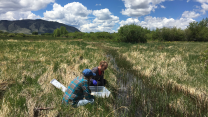 Two woman crouch in a wetland.