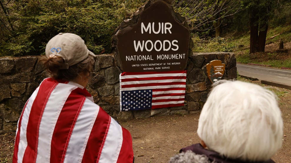 Demonstrators look at an inverted U.S. flag on a Muir Woods flag.