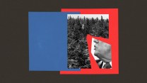 A designed collage with a black and white image of Donald Trump's lower face in profile and a dense forrest. In the background is red and blue color blocking.