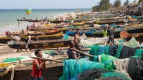Long, skinny boats sit on a beach. Fishermen mingle between them.