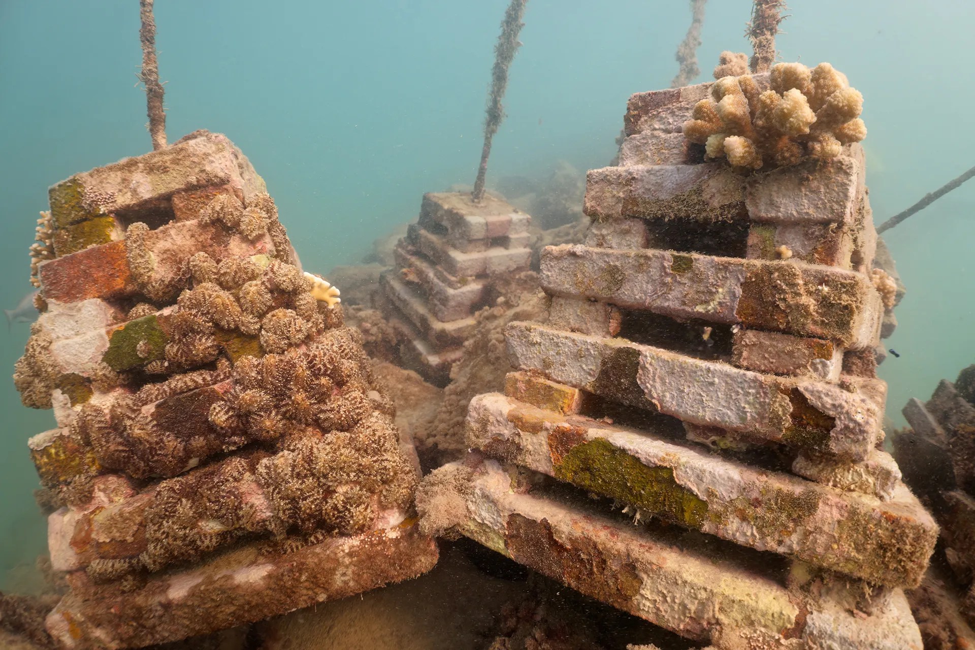 Pyramid shape structures under water make artificial reefs.