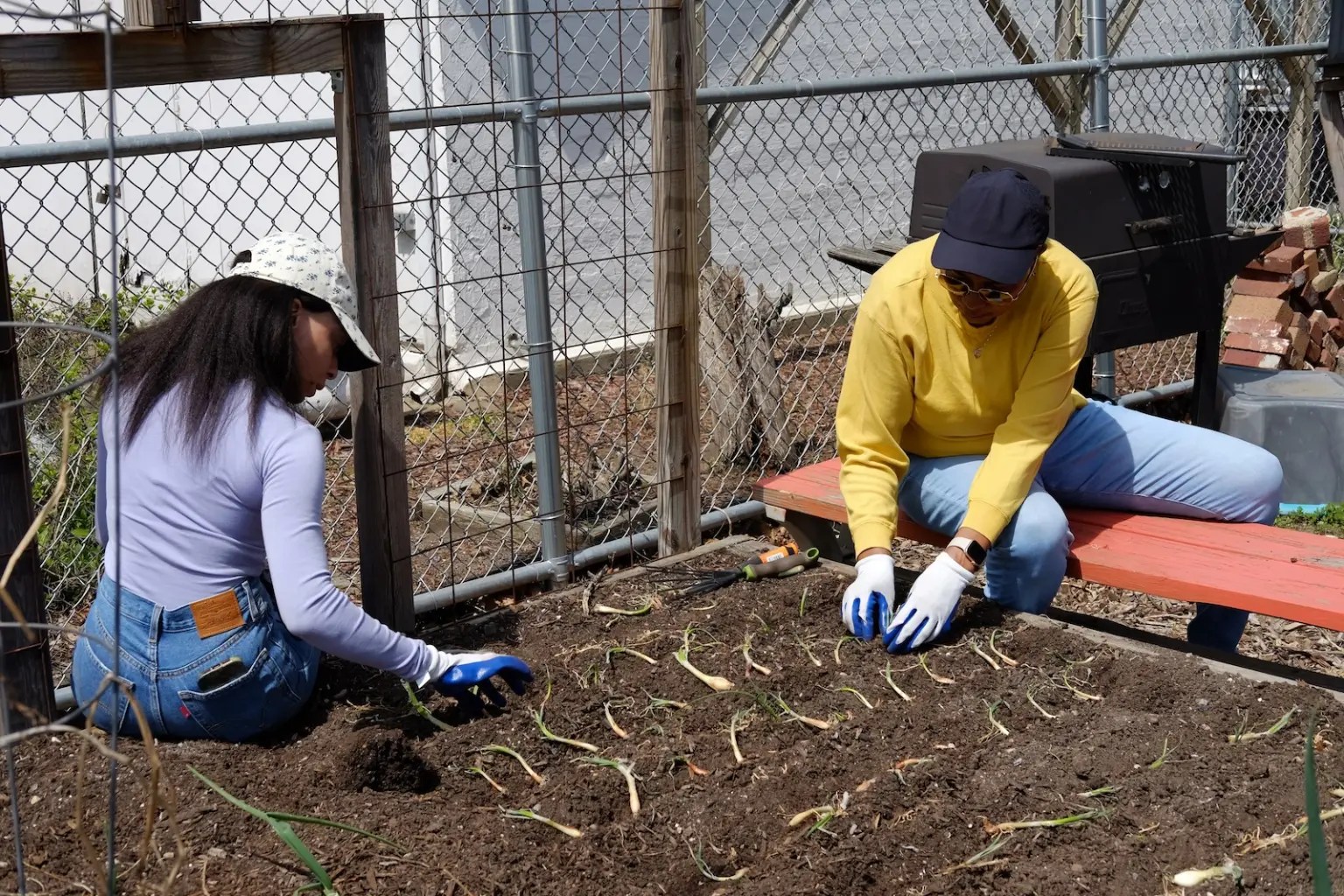 Two people sit next to a garden bed, placing sprouts in the soil.