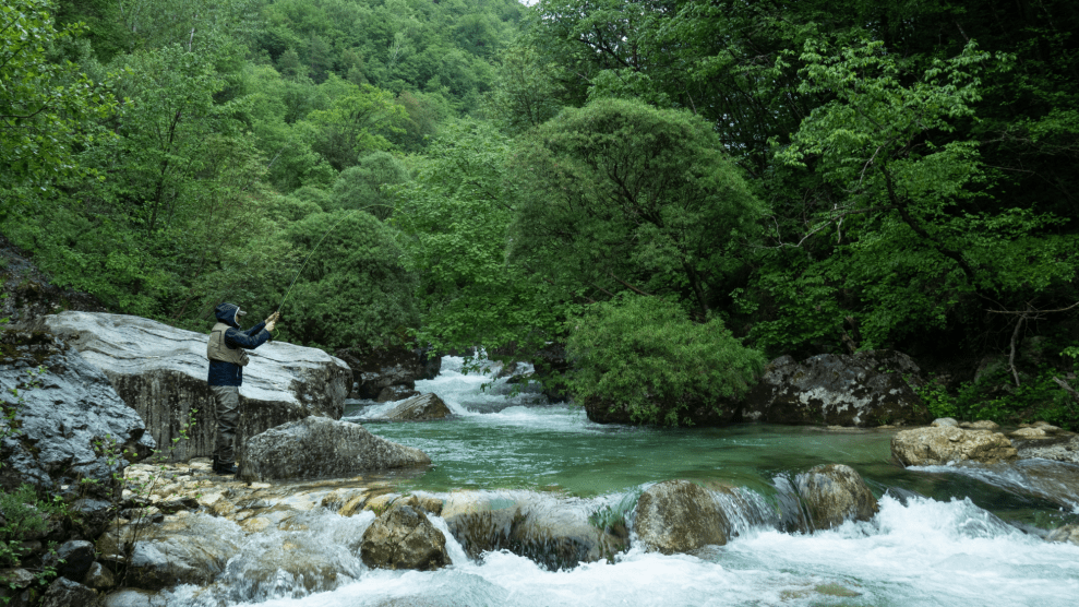 A man fishes by a river.