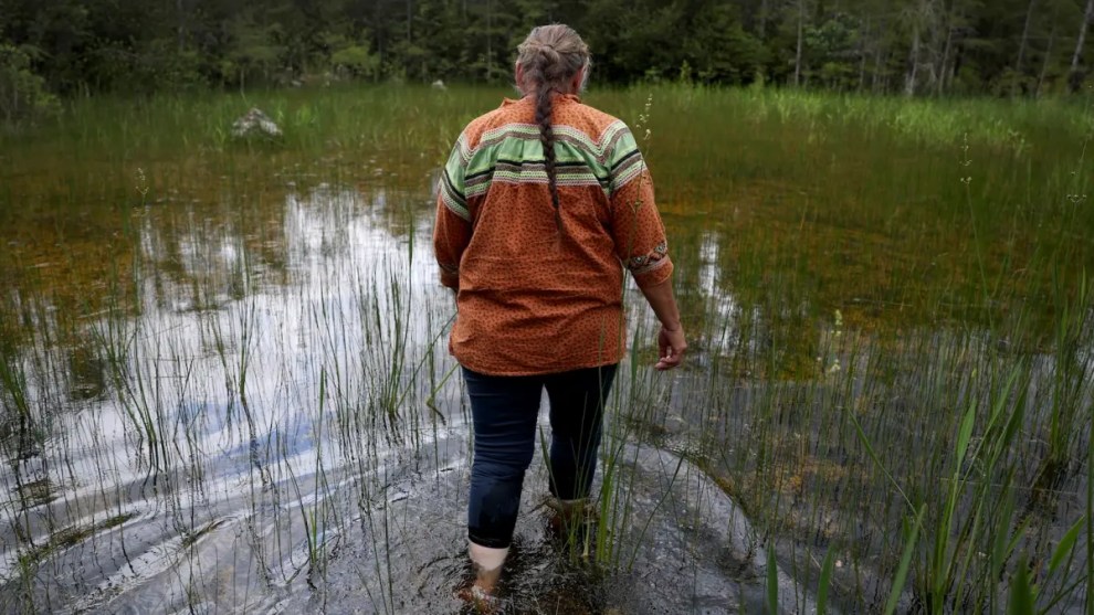 Woman in an orange shirt faces away from the camera and walks in shallow water among reeds.