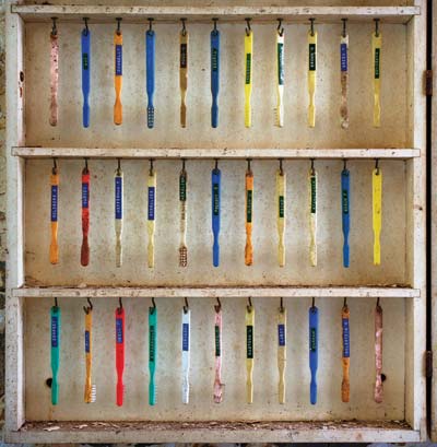 toothbrushes on a shelf