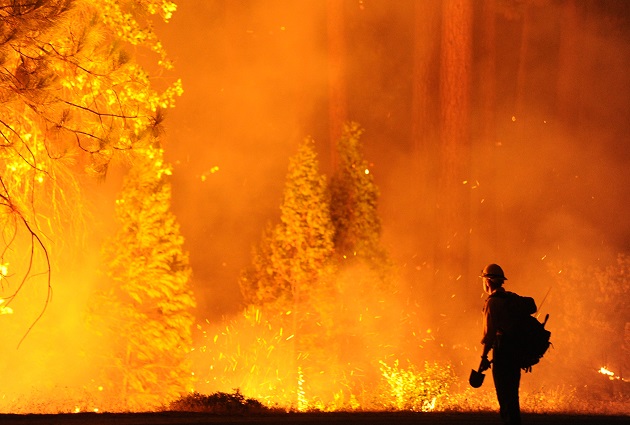 A firefighter in Groveland, CA, eyes the Rim Fire warily.