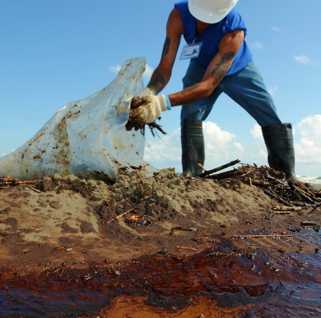 A worker cleans up oily waste on Elmer's Island, LA,  21 May 2010: Photo by Petty Officer 3rd Class Patrick Kelley, US Coast Guard, via Flickr