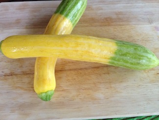 Belle of the September market: zephyr zucchini 