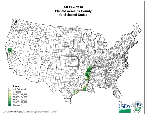 US rice production.  USDA