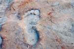 footprint150.jpg