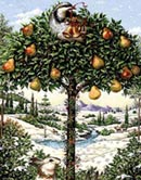 partridge-pear-tree.jpg