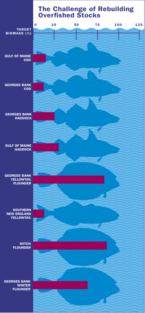 Overfishing: The Challenge of Rebuilding Overfished Stocks chart
